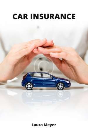 Car Insurance.  Laura Meyer