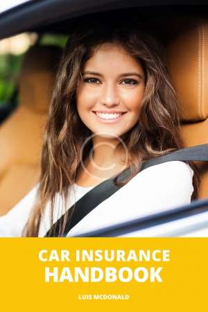 Car Insurance.  Luis Modonald